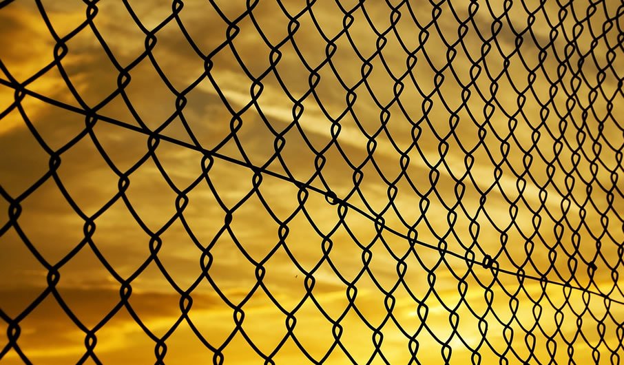 Como proteger o campo com o crescimento do agronegócio? 7 agronegócio