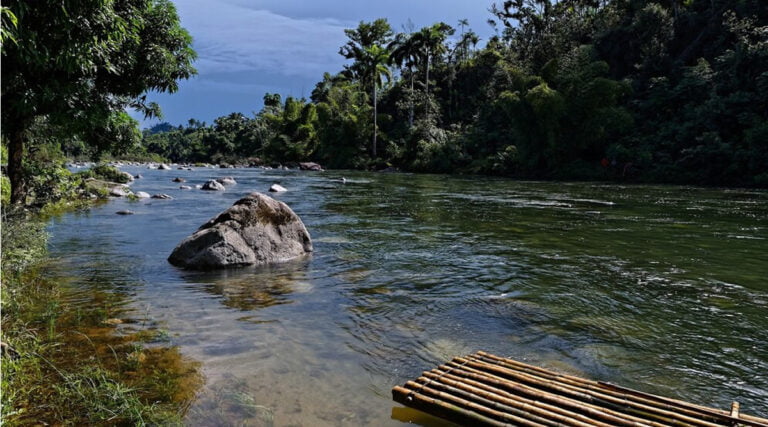 Guapimirim e Seus Municípios Vizinhos: Conhecendo as Joias do Rio de Janeiro 3 Guapimirim